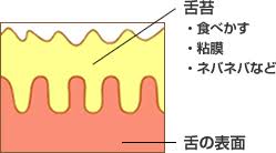 舌苔