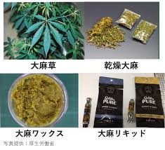 大麻